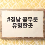 경남 꽃무릇 유명한곳 9월 붉은 군락 경남 꽃무릇 유명한곳