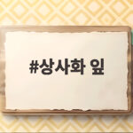 상사화 잎
